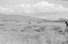 ONR_L-1280-51_30982_img_000982_thumb.gif