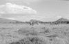 ONR_L-1280-51_30986_img_000986_thumb.gif