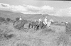 ONR_L-1280-51_30989_img_000989_thumb.gif