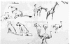 ONR_PRI_KRAMPE_img_037974_thumb.gif