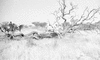 ONR_L-1166-49_30250_img_000250_thumb.gif