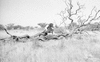 ONR_L-1166-49_30252_img_000252_thumb.gif