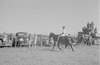 ONR_L-1146-49_30357_img_000357_thumb.gif