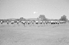 ONR_L-1291-51_30685_img_000685_thumb.gif
