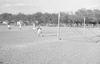 ONR_L-1154-49_30408_img_000408_thumb.gif
