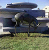 ONR_NEG_MUNI_img_035019_thumb.gif