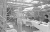 ONR_NEG_MUNI_img_035088_thumb.gif