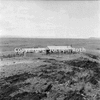 roth_namib_img_035227_thumb.gif