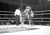 NAN_NEG_MOIF_img_044146_thumb.gif