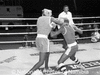 NAN_NEG_MOIF_img_044148_thumb.gif