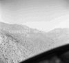 roth_brandberg_img_035202_thumb.gif