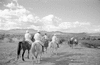ONR_L-1280-51_31031_img_001031_thumb.gif