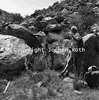 roth_brandberg_img_035208_thumb.gif