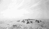 ONR_NEG_J_VOIGTS_img_038103_thumb.gif