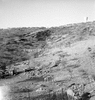 roth_gen_whk_31211_img_001211_thumb.gif