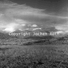 roth_brandberg_img_035400_thumb.gif