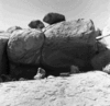 roth_brandberg_img_035401_thumb.gif
