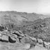 roth_brandberg_img_035402_thumb.gif