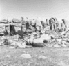 roth_brandberg_img_035403_thumb.gif