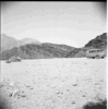 roth_brandberg_img_035404_thumb.gif
