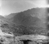 roth_brandberg_img_035405_thumb.gif