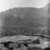 roth_brandberg_img_035406_thumb.gif