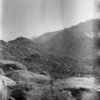 roth_brandberg_img_035407_thumb.gif