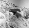 roth_brandberg_img_035503_thumb.gif