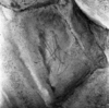 roth_brandberg_img_035504_thumb.gif