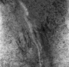 roth_brandberg_img_035505_thumb.gif
