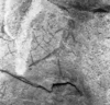 roth_brandberg_img_035507_thumb.gif