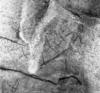 roth_brandberg_img_035508_thumb.gif
