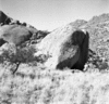 roth_brandberg_img_035509_thumb.gif