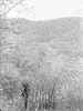 ONR_NEG_MUSEUM_img_037993_thumb.gif