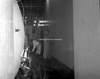 ONR_L-1136-50_30607_img_000607_thumb.gif
