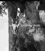 roth_kaoko_img_035291_thumb.gif