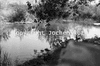 roth_kaoko_img_035331_thumb.gif
