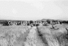 roth_kaoko_img_035371_thumb.gif