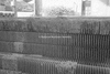 ONR_NEG_MUNI_img_034968_thumb.gif