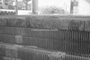 ONR_NEG_MUNI_img_034969_thumb.gif
