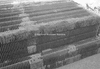 ONR_NEG_MUNI_img_034970_thumb.gif