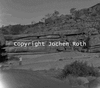 roth_brandberg_img_035210_thumb.gif