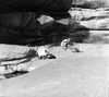 roth_brandberg_img_035212_thumb.gif
