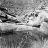 roth_brandberg_img_035216_thumb.gif