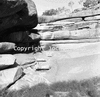 roth_brandberg_img_035217_thumb.gif