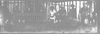 CHN_PAN_31711_img_001711_thumb.gif