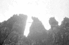 ONR_NEG_NSC_img_037650_thumb.gif