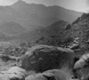 roth_brandberg_img_035410_thumb.gif