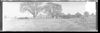 CHN_PAN_31712_img_001712_thumb.gif