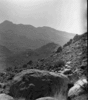 roth_brandberg_img_035412_thumb.gif